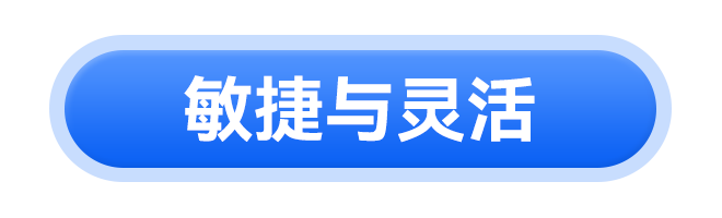 敏捷与灵活